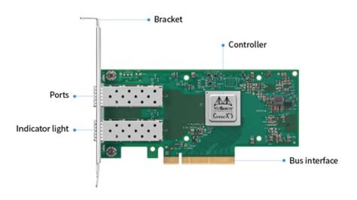 Can an interface card be plugged into an expansion slot?