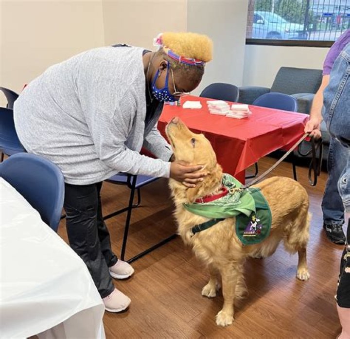 Can any breed of dog be a therapy dog?