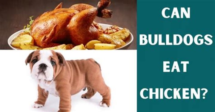 Can Bulldogs eat chicken?