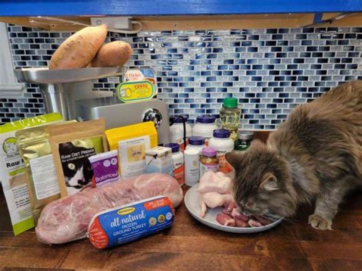 Can cats eat frozen cat food?