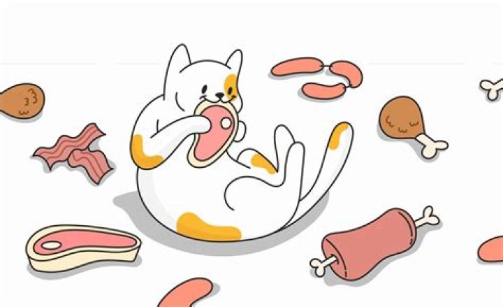 Can cats eat meat everyday?