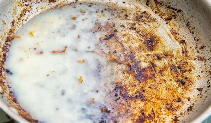 Can cats eat oily food?