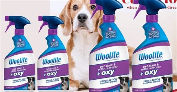 Can cleaning products make my dog sick?