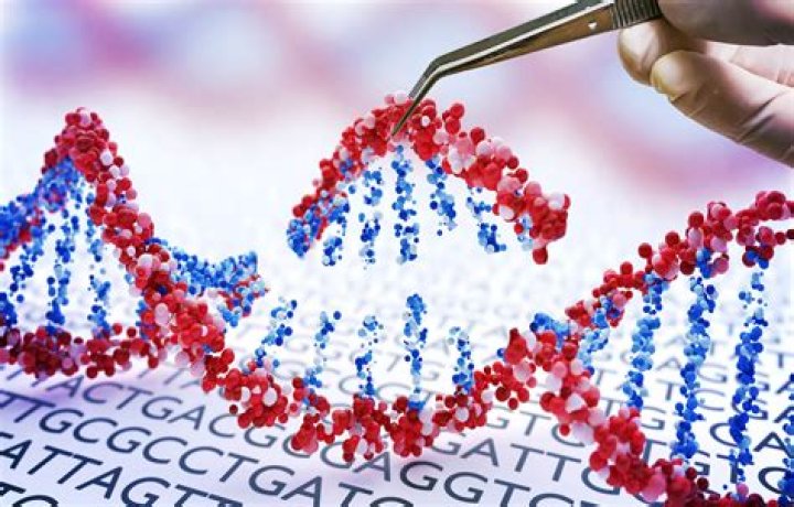 Can Crispr prevent Down syndrome?