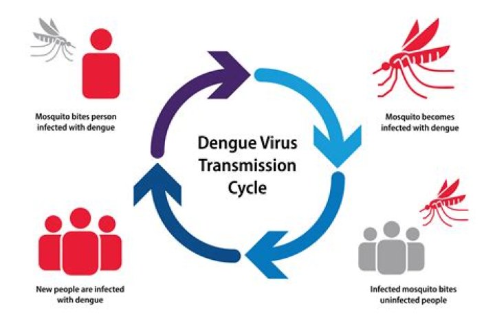Can dengue cause encephalitis?
