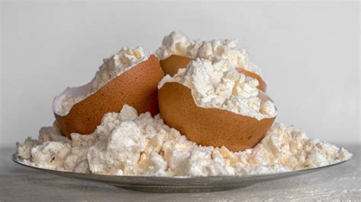 Can eggs be dehydrated?