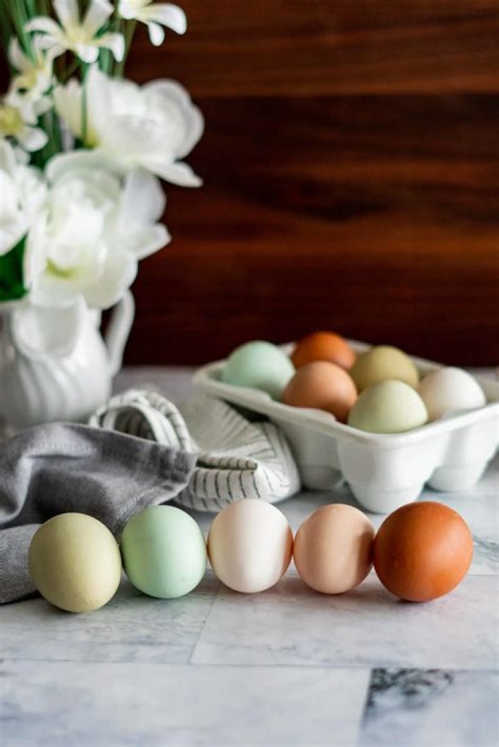 Can farm fresh eggs make you sick?