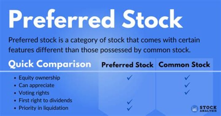 Can founders get preferred stock?