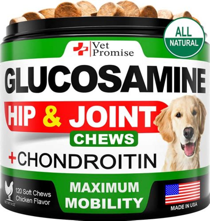 Can glucosamine hurt my dog?