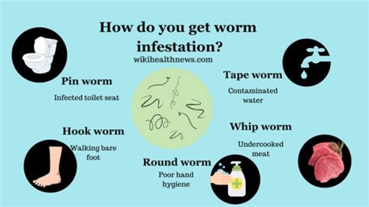 Can having worms make you tired?