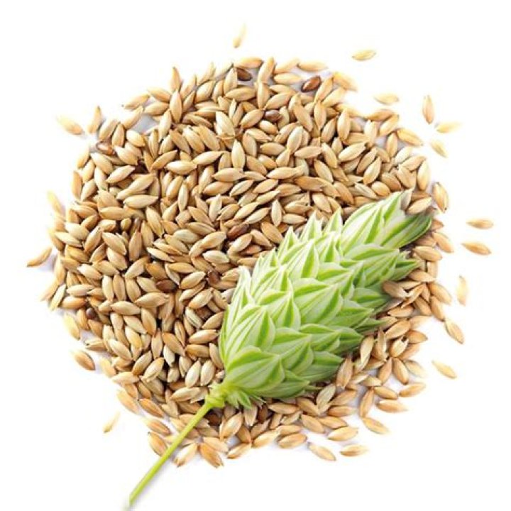 Can humans eat canary seeds?