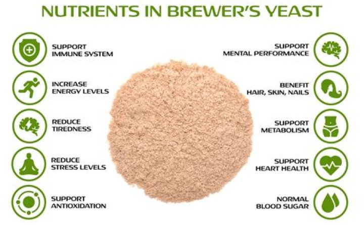 Can humans take brewer's yeast?