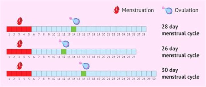 Can I be pregnant on day 13 of cycle?