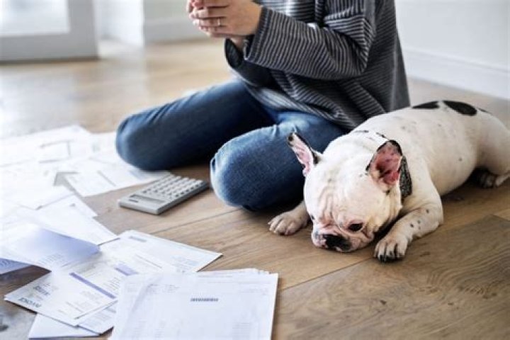 Can I change from Iva to debt management?