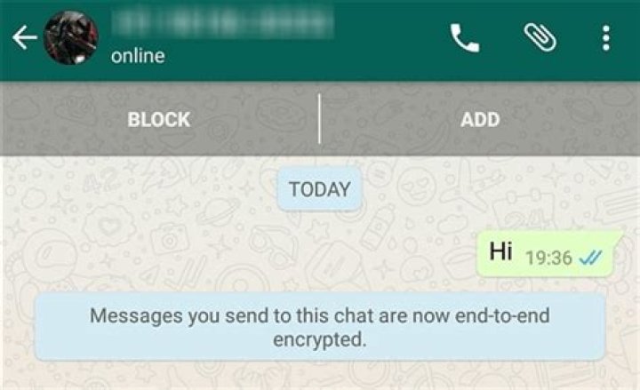 Can I decrypt WhatsApp messages?