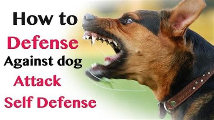 Can I defend my dog?