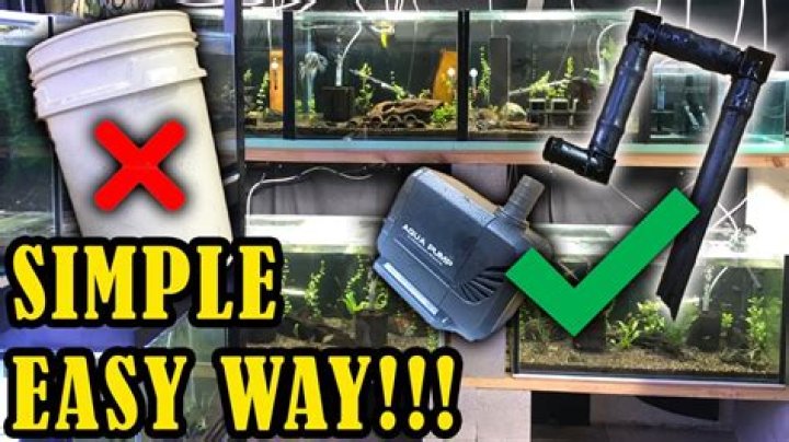 Can I do a water change with Fry in the tank?