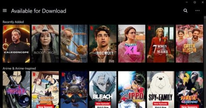 Can I download Netflix on Windows?