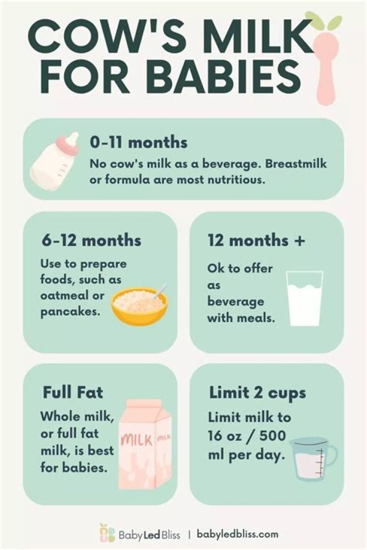 Can I give my 3 month old whole milk?