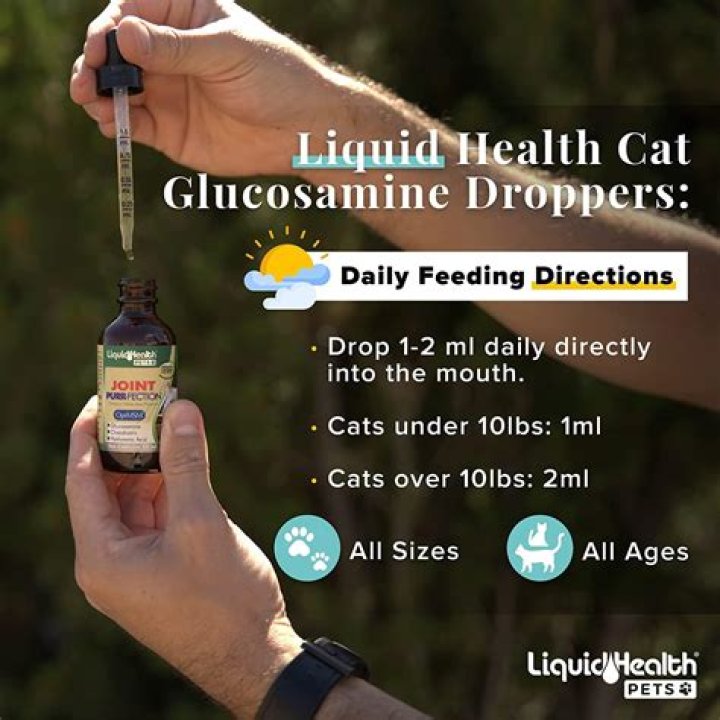 Can I give my cat glucosamine?