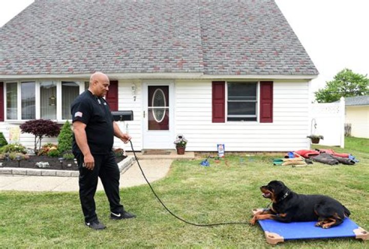 Can I make a living as a dog trainer?