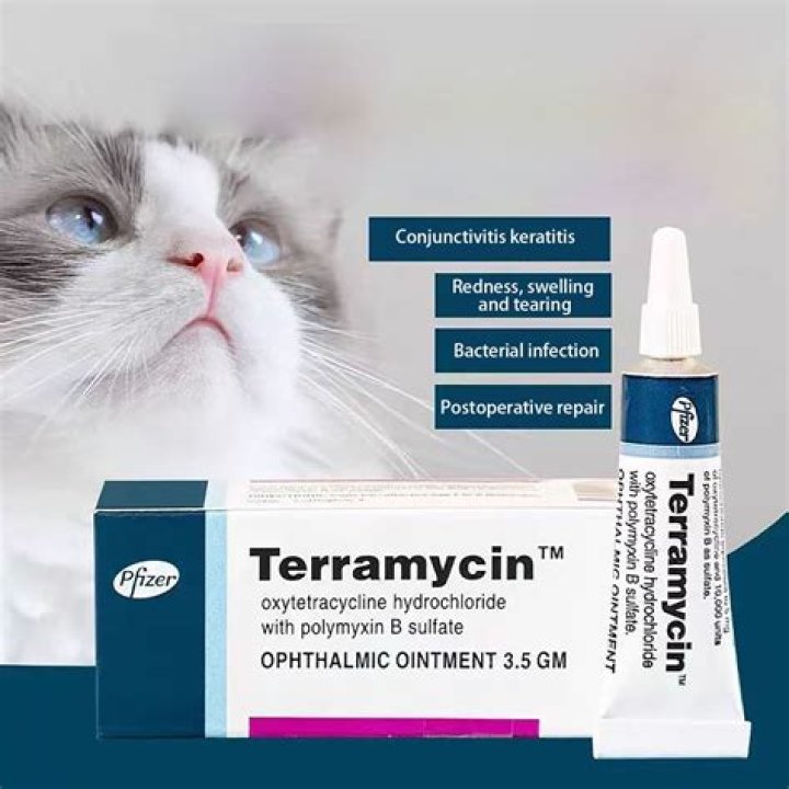Can I use triple antibiotic ointment in my cats eyes?