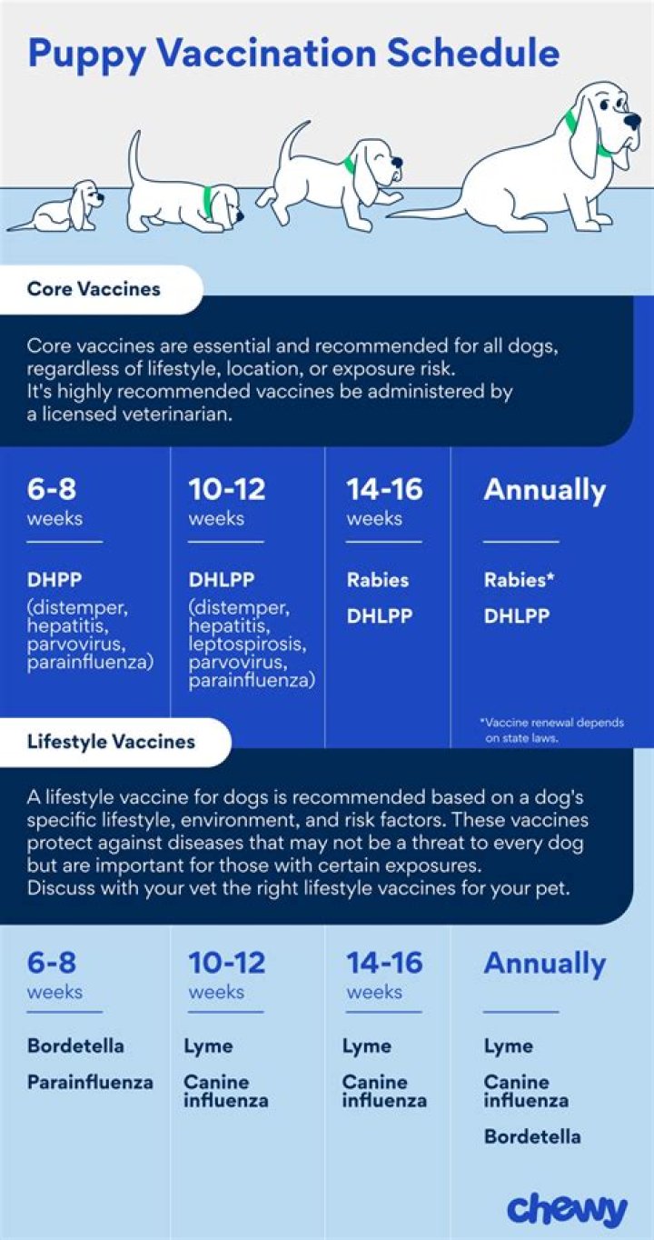 Can I vaccinate my puppy every two weeks?