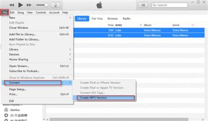 Can iTunes play WMA files?