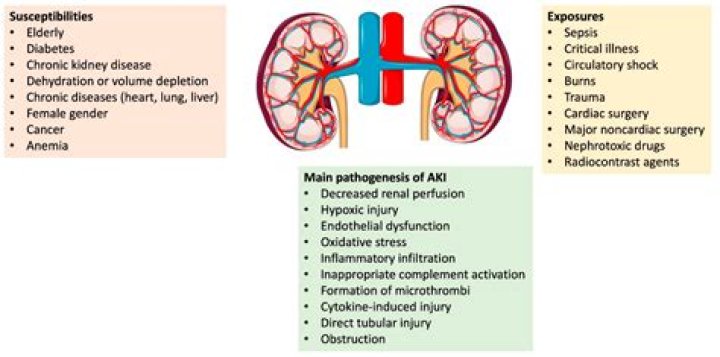 Can kidney disease cause muscle wasting?