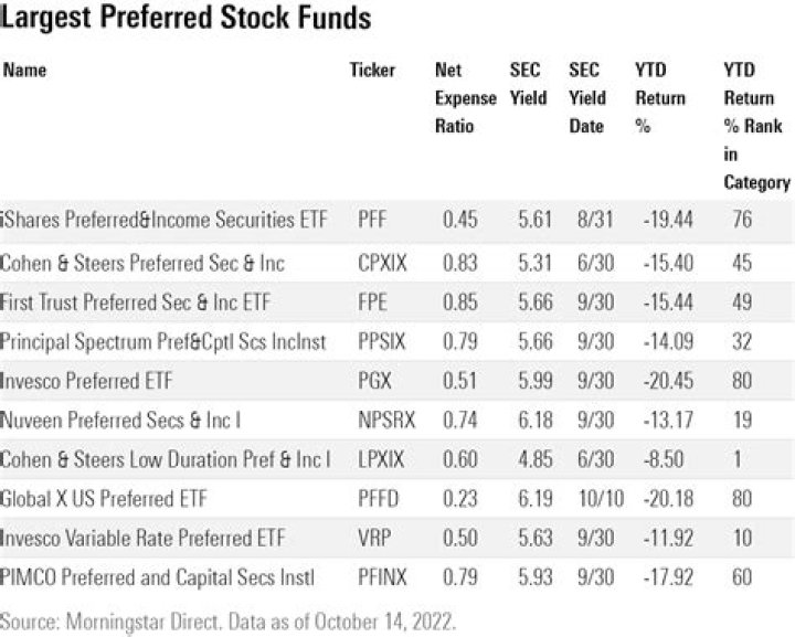 Can mutual funds have preferred stock?