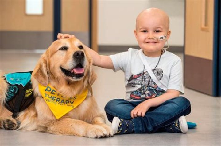 Can my dog be a therapy dog UK?
