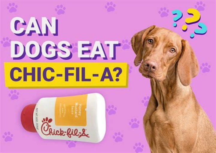 Can my dog eat Chick-Fil-A?
