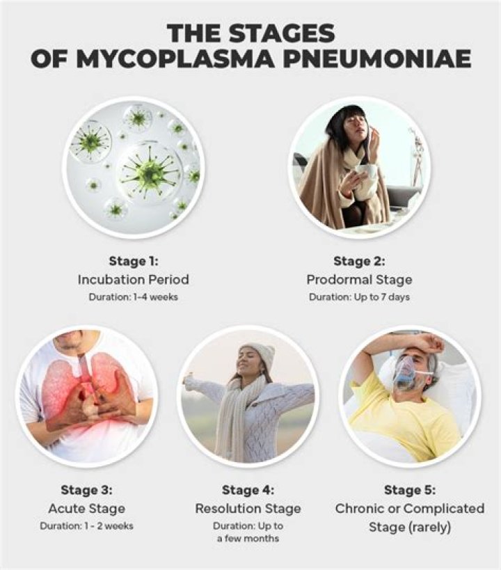 Can mycoplasma last for months?