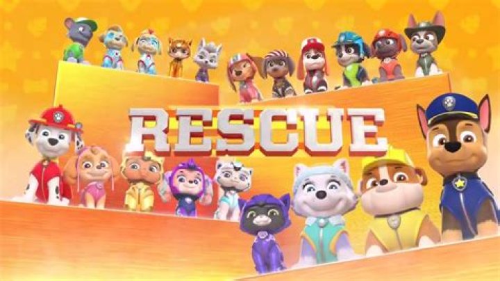 Can Paw Patrol be streamed?