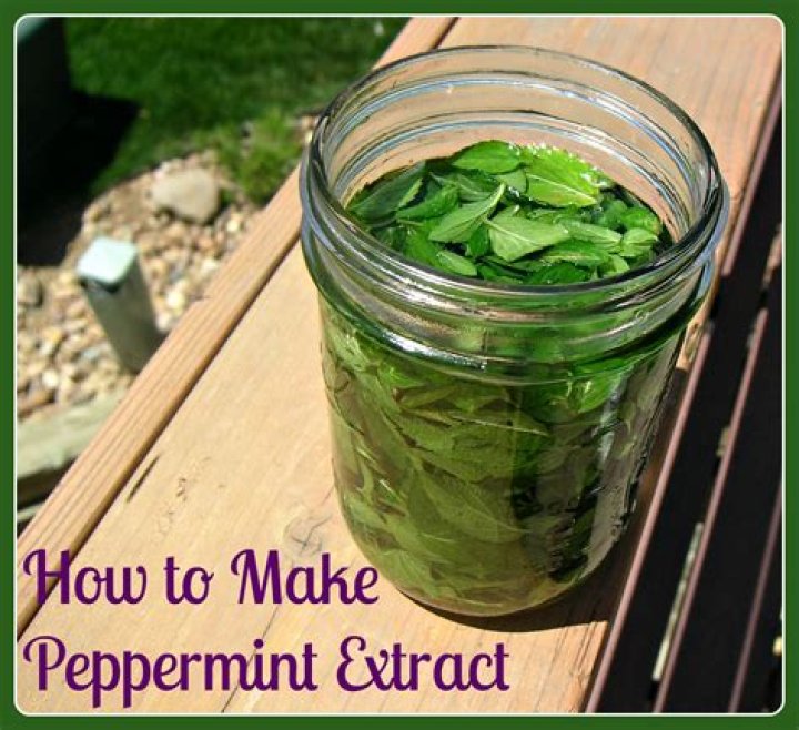 Can peppermint extract make you sick?