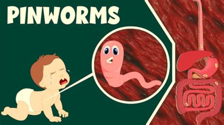 Can pinworms cause bruxism?