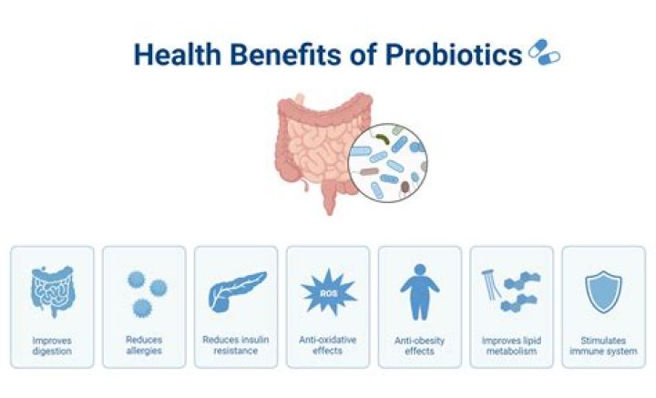 Can probiotics help Amoebiasis?