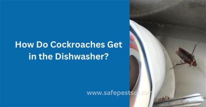 Can roaches get in dishwasher?