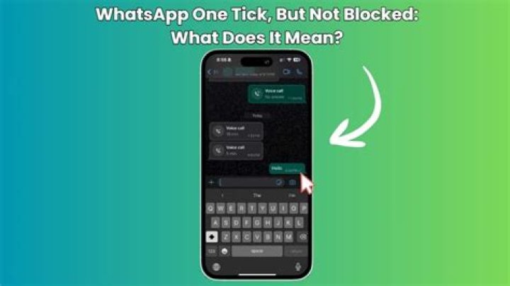Can see picture on WhatsApp but only one tick?