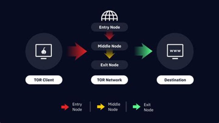 Can Tor entry nodes see your traffic?