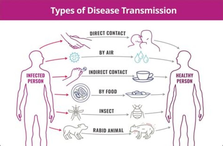 Can Ulcers be transmitted from one person to another?