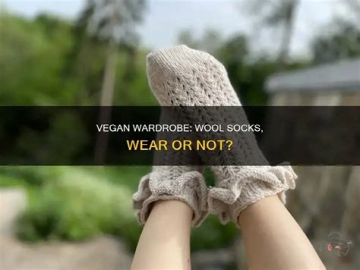 Can vegetarians wear wool?