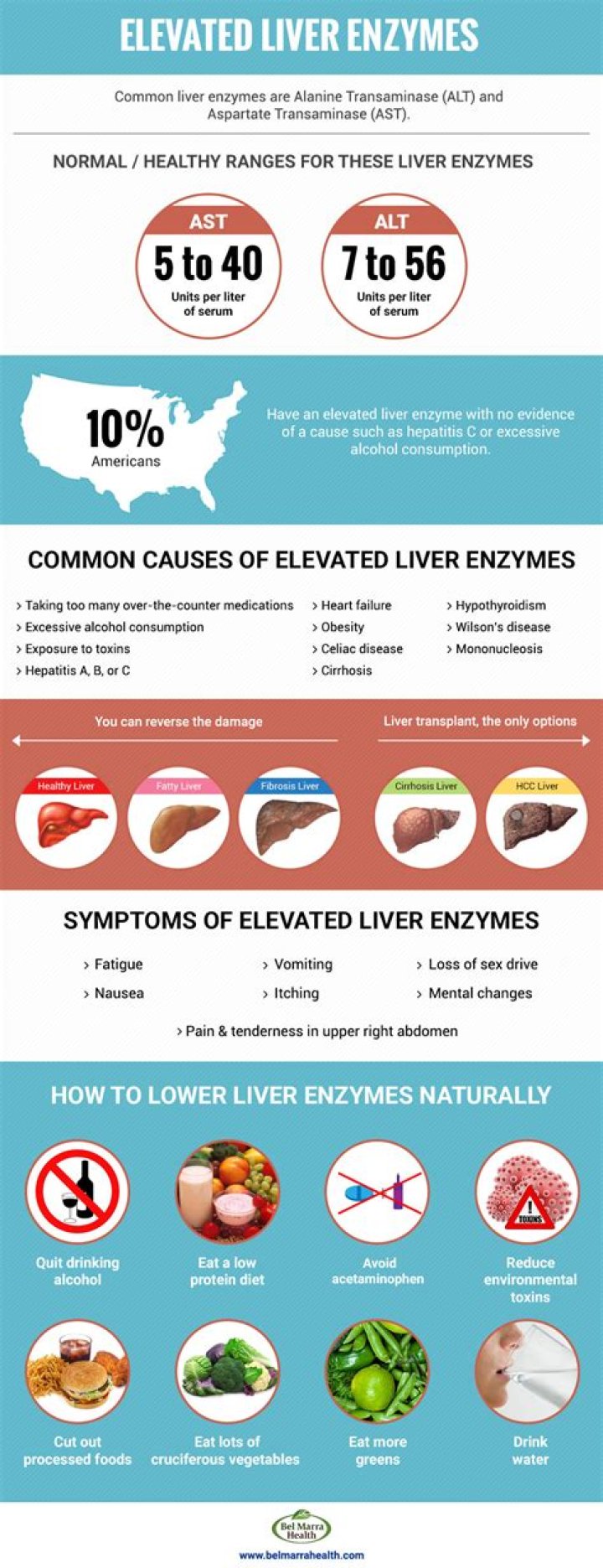 Can workout supplements cause elevated liver enzymes?