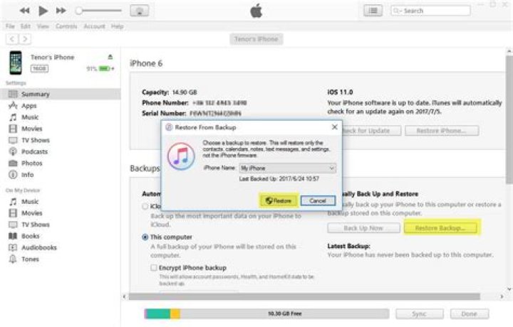 Can you access messages through iTunes?