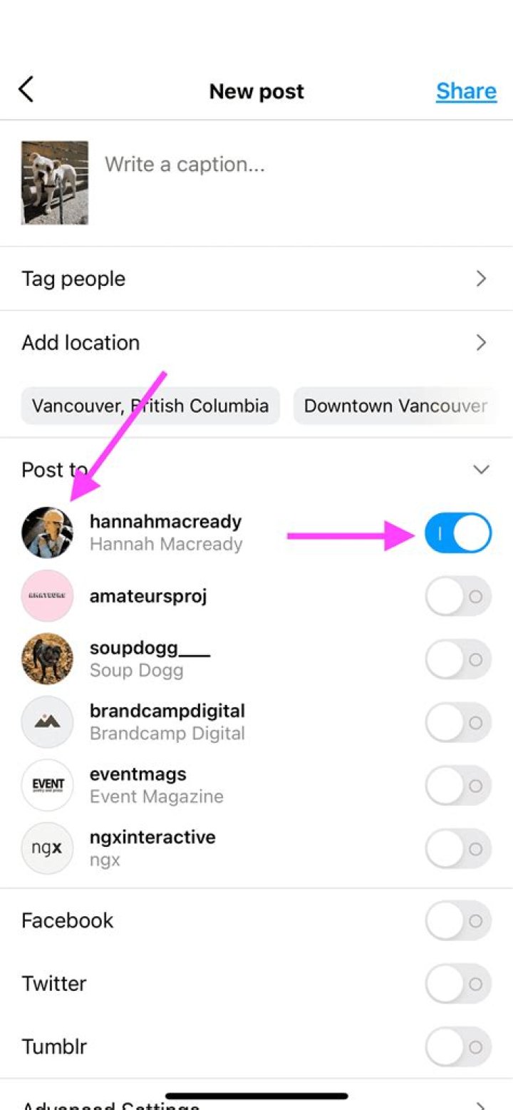 Can you add more than 5 Instagram accounts?