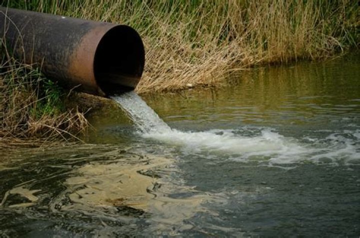 Can you bathe in water contaminated with E coli?