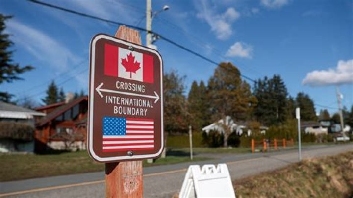 Can you bring wood across the Canadian border?