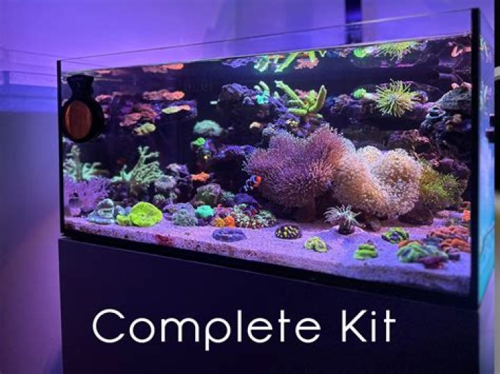 Can you buy water for a fish tank?