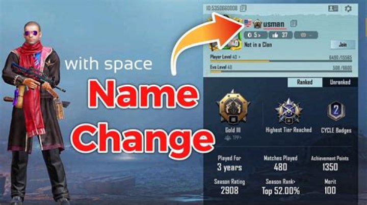 Can you change your PUBG nickname?