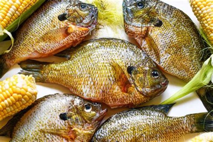Can you cook bluegill whole?